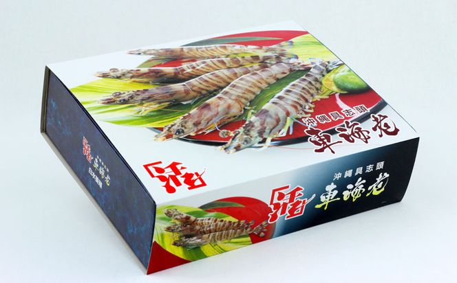 【訳アリ】活き〆急速冷凍車エビ（生食可・約800g）【先行受付】- 2024年11月から順次発送 海老 車えび 車海老 冷凍 生エビ 国産 養殖 えび天 エビフライ 塩焼き 人気 沖縄県 八重瀬町