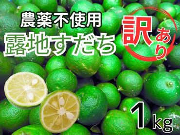 訳あり【Ｂ級】　露地スダチ1kg　※2024年9月中旬頃から発送　※離島不可