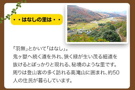 原木しいたけづくり体験チケット(昼食付) 1名様 桃源郷はなしの里 岡山県矢掛町《30日以内に出荷予定(土日祝除く)》---iosy_togensitake_30d_22_17500_1p---