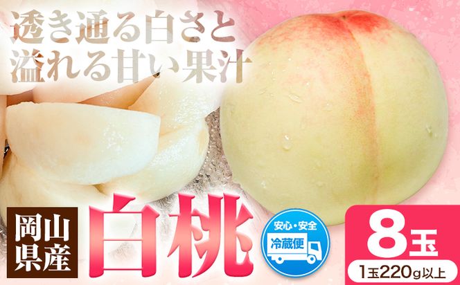 岡山県産 白桃（1玉220g以上8玉入りロイヤル）令和7年産先行受付《7月上旬-8月中旬頃出荷》【配送不可地域あり】---H-25a---