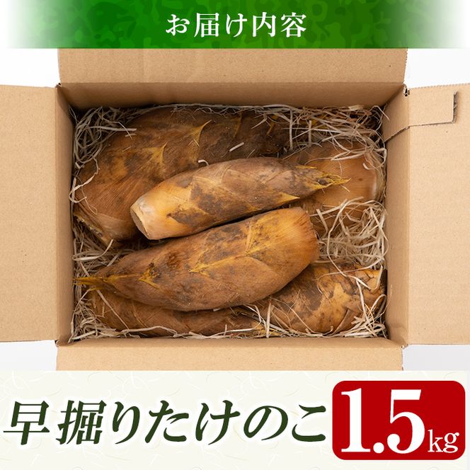 a806  ＜先行予約受付中！2024年12月下旬～2025年2月末の間に発送予定＞数量限定！早堀り筍(正味約1.5kg)【夢竺山株式会社】国産 早堀り たけのこ タケノコ 筍 竹の子