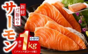 010B1719 【高評価】サーモン 1kg ポーション【スピード発送 訳あり サイズ不揃い 刺身 海鮮丼 さーもん サラダ カルパッチョ 鮭 さけ シャケ しゃけ 人気 オススメ 小分け 冷凍 家計応援】