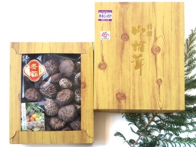 肉厚・厳選！原木育ちの上どんこ260g｜栃木県 矢板市 しいたけ 椎茸 産地直送  