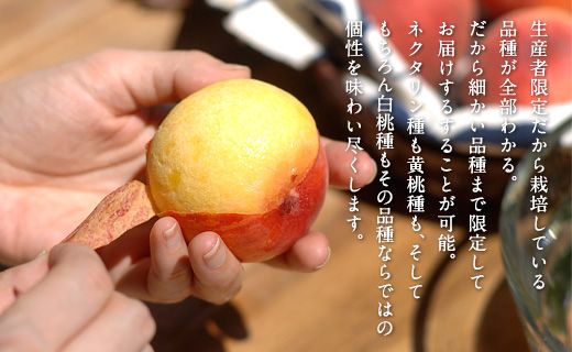 【24回定期便】桃 食べつくしクレイジーマニアックコース　岡山県総社もも生産組合【2025年産先行予約】25-336-001