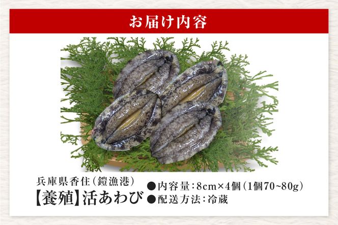 【冷蔵 活あわび 養殖  8cm×4枚 280～320g (1個70～80g）】発送目安：入金確認後1ヶ月以内 香美町 香住 美嶋丸 18000円 20-01
