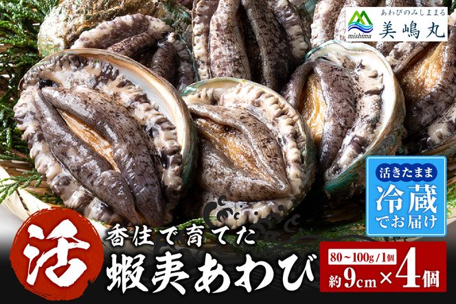【冷蔵 活あわび 養殖 9cm×4枚 320～400g (1個80～100g）】香美町 香住 山陰 アワビ 鮑 活アワビ 海鮮 お刺身 あわびのバター焼き 美嶋丸 20-02