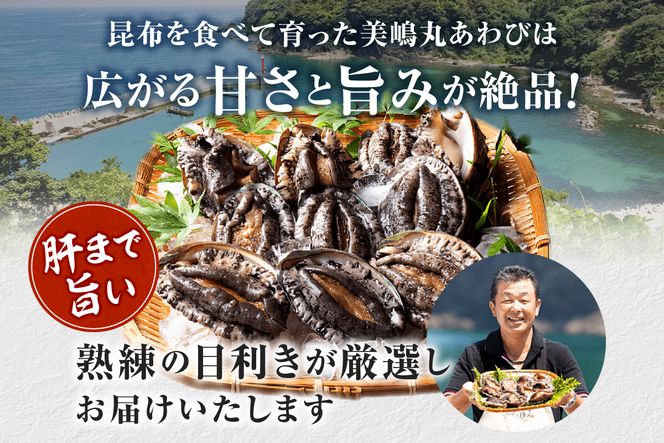 【冷蔵 活あわび 養殖  8cm×4枚 280～320g (1個70～80g）】発送目安：入金確認後1ヶ月以内 香美町 香住 美嶋丸 18000円 20-01