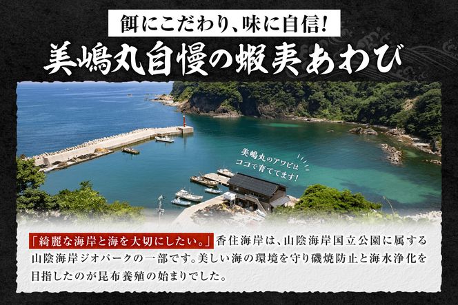 【冷蔵 活あわび 養殖  8cm×4枚 280～320g (1個70～80g）】発送目安：入金確認後1ヶ月以内 香美町 香住 美嶋丸 18000円 20-01
