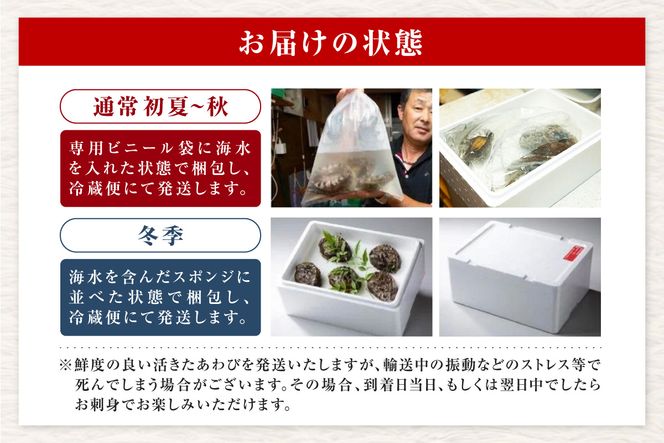 【冷蔵 活あわび 養殖  8cm×4枚 280～320g (1個70～80g）】発送目安：入金確認後1ヶ月以内 香美町 香住 美嶋丸 18000円 20-01