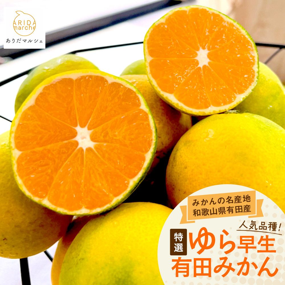 [先行予約]特選 ゆら早生有田みかん約3kg[2025年10月上旬より発送][サイズ混合][MS24] 303446_XD90087