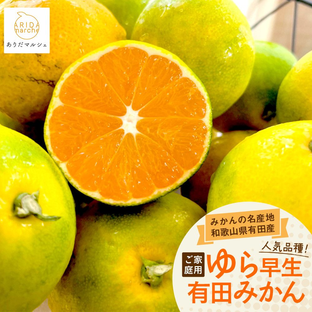 [先行予約]ご家庭用ゆら早生有田みかん約3kg[2025年10月上旬発送][訳あり][MS26] 303446_XD90089
