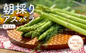 【先行受付】朝採りアスパラガス（約1kg）／2026年4月上旬～5月中旬お届け 242161_AA001