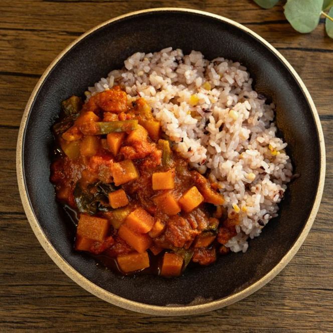 【Organic Vege Annex】無農薬野菜のトマトカレー冷凍10パックセット［ 京都 上賀茂 八百屋 オーガニック ヴィーガン vegan 野菜  こだわりのお惣菜 おいしい 人気 おすすめ アネックス べジ お取り寄せ 通販 送料無料 ふるさと納税 ］ 261009_B-TN06