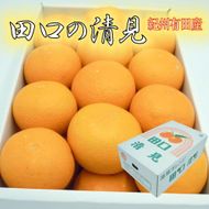 田口の清見オレンジ 秀品 約5kg L～3L（30玉～18玉） サイズおまかせ 化粧箱入り【2026年2月26日～2026年3月31日頃より順次発送】 DS001