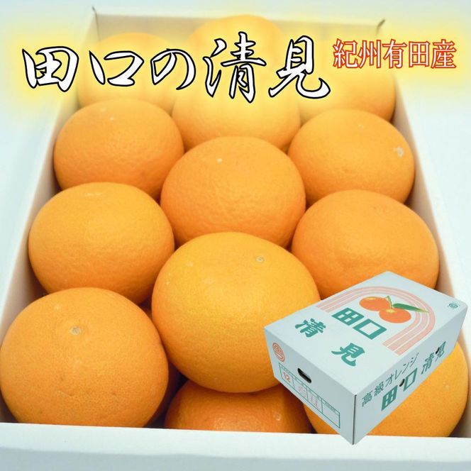 田口の清見オレンジ 秀品　5kg　L～３L（30玉～18玉）化粧箱入り サイズおまかせ【2025／2／26～2025／3／31 順次発送】DS001