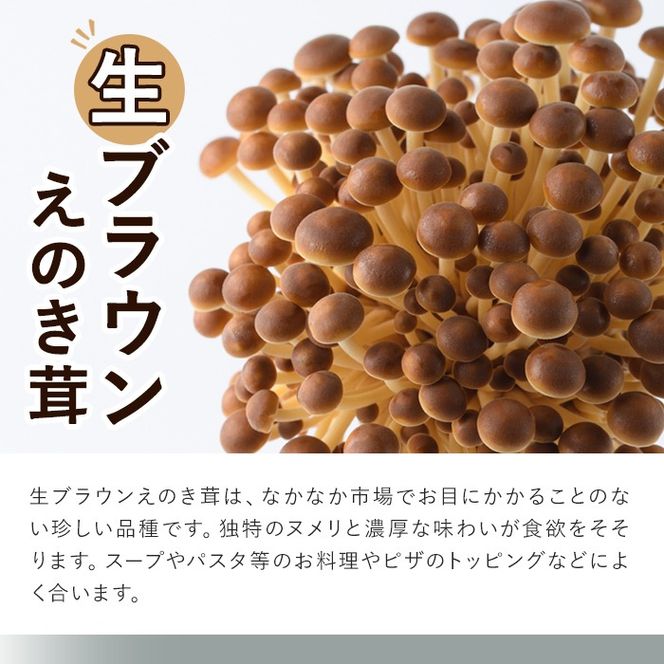 数量限定！原木生しいたけと生えのき茸セット(13袋・合計2.7kg)国産 椎茸 個包装【三笠えのき茸生産組合】a-12-222-z