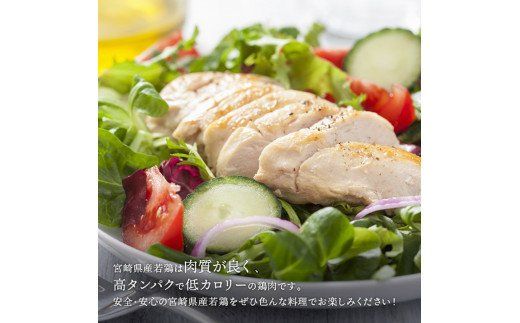宮崎県産若鶏むね肉 小分けで約6kg 肉 鶏 鶏肉 [D07808]（宮崎県