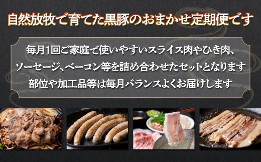 鹿追産 自然放牧黒豚 圧巻の豚肉おまかせ定期便（６ヶ月分） SKN010