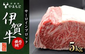 【肉の横綱】伊賀牛サーロインブロック　5kg 242161_DL004