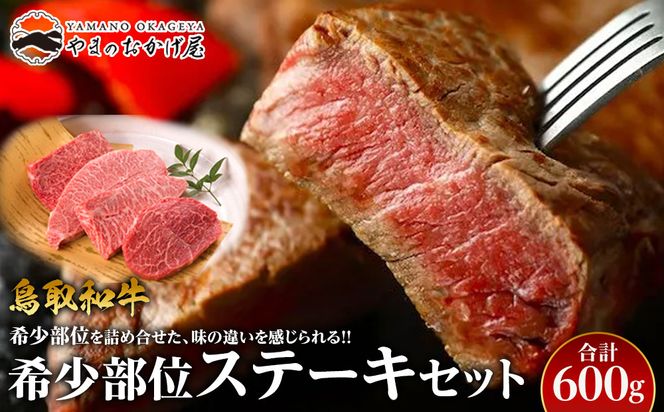 y挧khz22.a 󏭕ʃXe[LZbg  600g 313726_AJ023