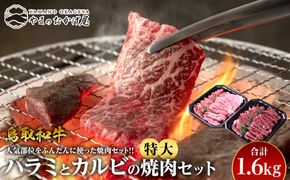 45.鳥取牛ハラミと鳥取和牛カルビの特大焼肉セット 合計1.6kg 313726_AJ041