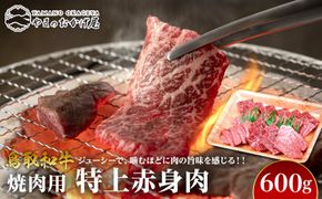 55.鳥取和牛　焼肉用特上赤身肉　600g 313726_AJ051
