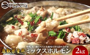 72.鳥取県産牛 ミックスホルモン 2kg 313726_AJ060