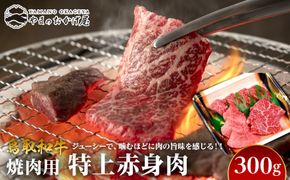 56.鳥取和牛 焼肉用特上赤身肉 300g 313726_AJ074