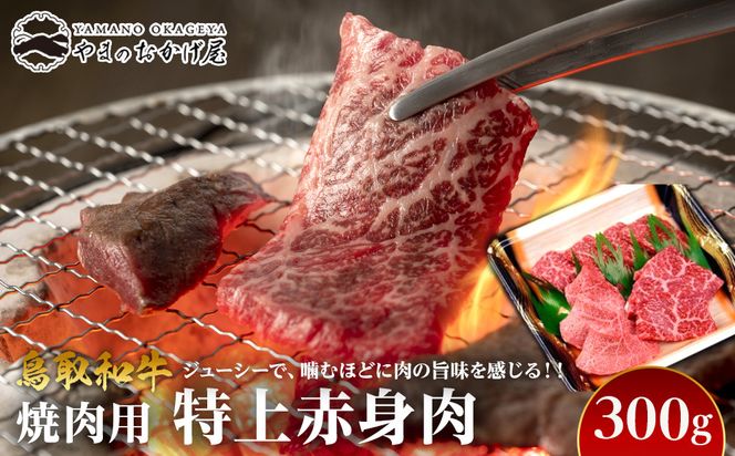 y挧khz56.a ēpԐg 300g 313726_AJ074