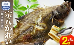 知床羅臼産宗八かれいセット  カレイ 鰈 一夜干し 干物 おかず ごはんのお供 お酒の肴 おつまみ アテ 魚 魚介 魚介類 海産物 海鮮 焼き魚 焼くだけ グリル 生産者 応援 支援 016942_AM053