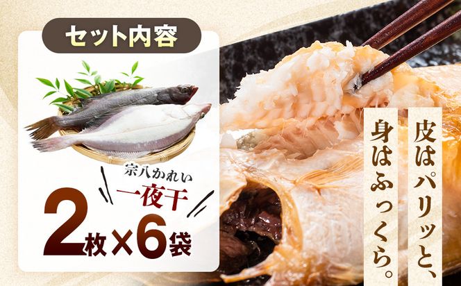 知床羅臼産宗八かれいセット  カレイ 鰈 一夜干し 干物 おかず ごはんのお供 お酒の肴 おつまみ アテ 魚 魚介 魚介類 海産物 海鮮 焼き魚 焼くだけ グリル 生産者 応援 支援 016942_AM053