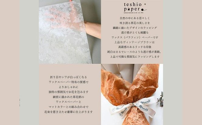 スタイルブーケ　シェリー・ランデブー【花束 花 誕生日 結婚記念日 花　スタイル　ブーケ　ランデブー　季節の花材　シェリー　長さ70cm　深みのある紫 大阪府 門真市 】 272230_BG002VC06