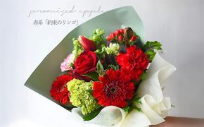 花束 ピュアブーケ　約束のりんご【ピュア　ブーケ　リンゴ　花束 花 誕生日 結婚記念日　季節の新鮮なお花　フローリストの完全おまかせ花束　長さ40cm 大阪府 門真市 】 272230_BG003VC01