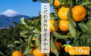 192-2624　＜品種厳選＞こだわりの早生みかん　10キロ＜2024年10月1日出荷開始～2024年12月10日出荷終了＞【 みかん 神奈川県 小田原市 】