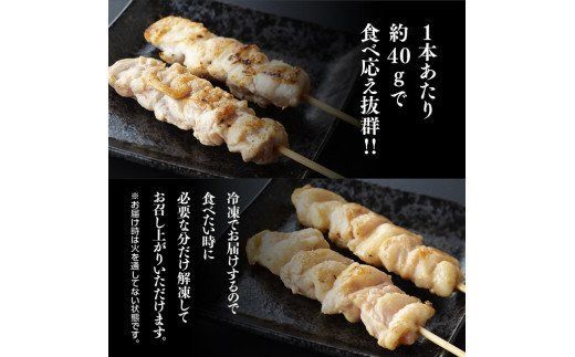 【６ヶ月定期便】 焼き鳥 人気部位 串 計４８本 [D07801t6]