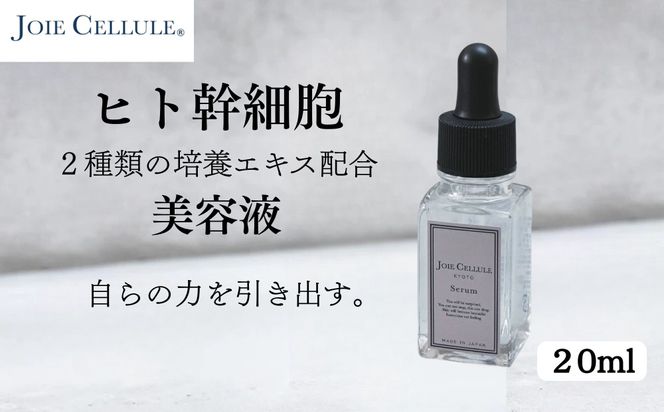 【ジョワセル】×【ジョワセリュール】髪とお肌のトータルビューティーセット ［ 京都 美容 ブランド ヘアケア×スキンケア8点セット 人気 おすすめ ヘアケア シャンプー トリートメント 髪質改善 美髪 スキンケア 化粧水 美容液 美容乳液 美肌 エイジングケア お取り寄せ 通販 送料無料 ふるさと納税 ］ 261009_B-UA25