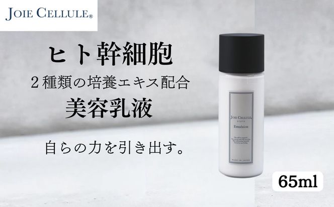 【ジョワセル】×【ジョワセリュール】髪とお肌のトータルビューティーセット ［ 京都 美容 ブランド ヘアケア×スキンケア8点セット 人気 おすすめ ヘアケア シャンプー トリートメント 髪質改善 美髪 スキンケア 化粧水 美容液 美容乳液 美肌 エイジングケア お取り寄せ 通販 送料無料 ふるさと納税 ］ 261009_B-UA25