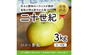 こだわり二十世紀梨 3キロ（ひかり農園） 312011_EN001