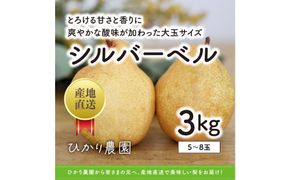 完熟こだわりシルバーベル 3キロ（ひかり農園） 312011_EN002