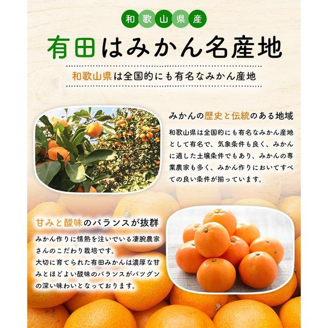 ［先行予約］ご家庭用 完熟 有田みかん 3kg［2026年12月発送予定］訳あり 農家直送［MS3-2］ 303446_XD90130