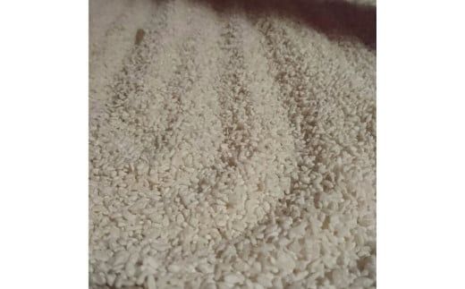 出雲大社御神酒 八千矛セット（純米大吟醸・純米吟醸） 322032_AH001