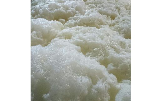 十旭日 熱燗推奨！晩酌おすすめセット 322032_AH003