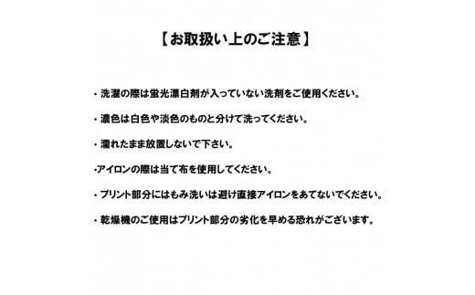 出雲市 マンホールTシャツ　八岐大蛇　ヤマタノオロチ 322032_AK002