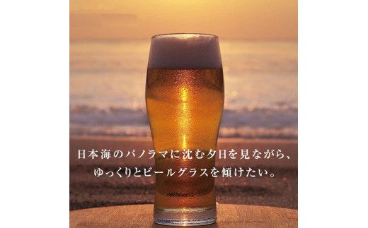 出雲多伎ブルワリークラフトビール６本セット 322032_AS001