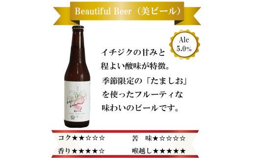 クラフトビール6種詰め合わせセット 322032_AS002