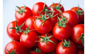 出雲の國からの贈り物～トマトを超えた超トマト１kg 322032_AT001