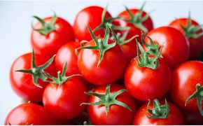 出雲の國からの贈り物～トマトを超えた超トマト２kg 322032_AT002