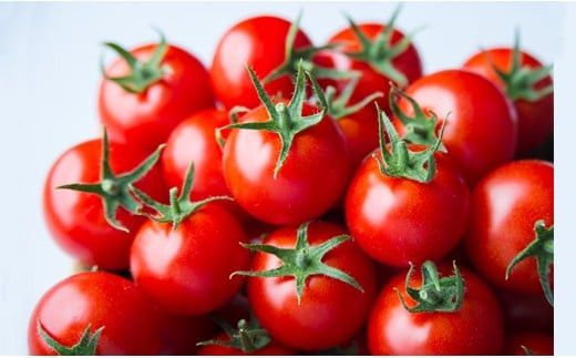 出雲の國からの贈り物～超トマト１kg＆ジュース１本 322032_AT005