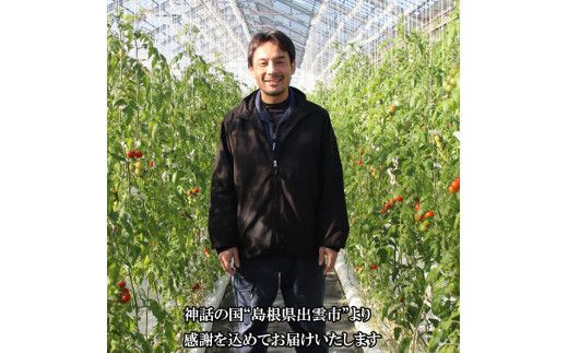 出雲の國からの贈り物～超トマト１kg＆ジュース１本 322032_AT005