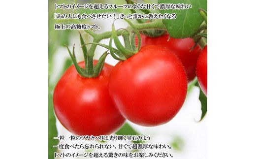 出雲の國からの贈り物～超トマト２kg＆ジュース１本 322032_AT006